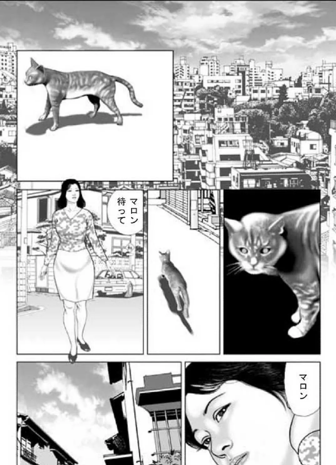 人妻スキャンダルシリーズ（6） 猫を飼う女 2ページ