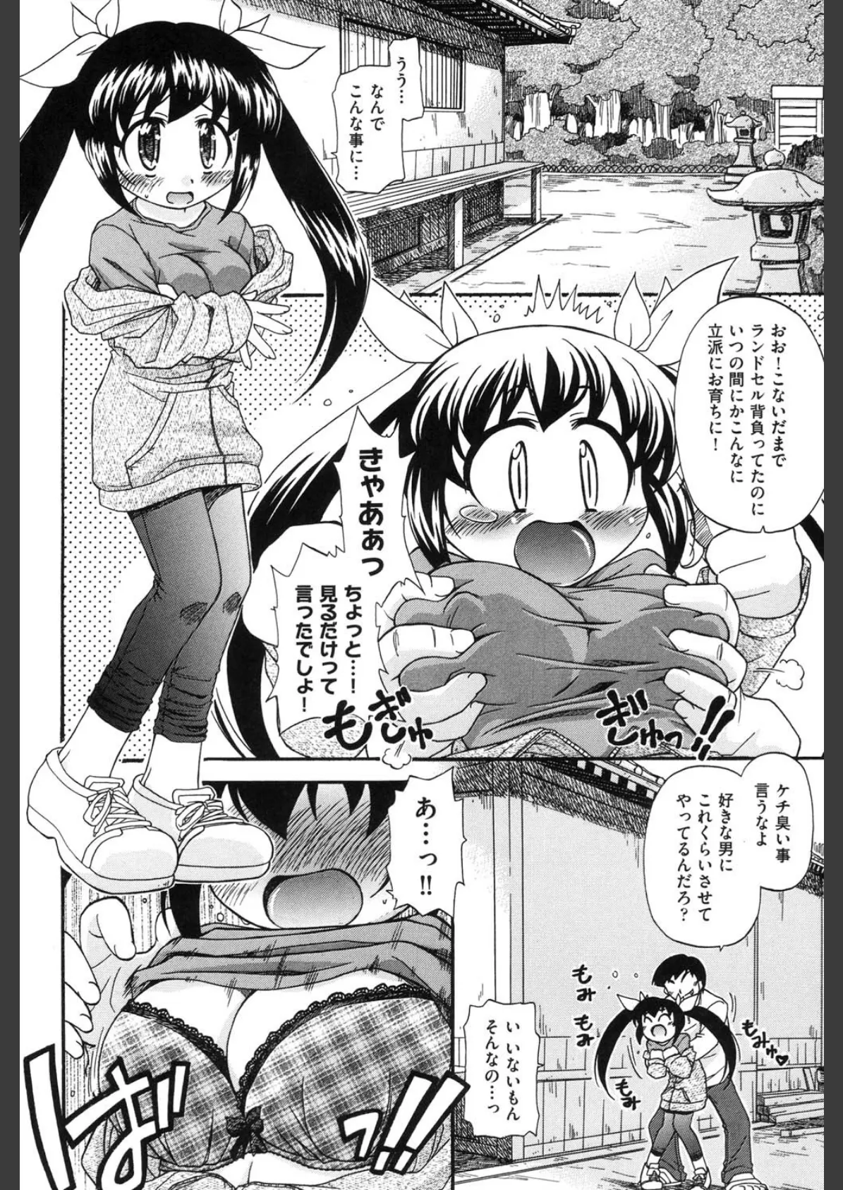 憧れのあの娘を肉奴●にする方法 5ページ