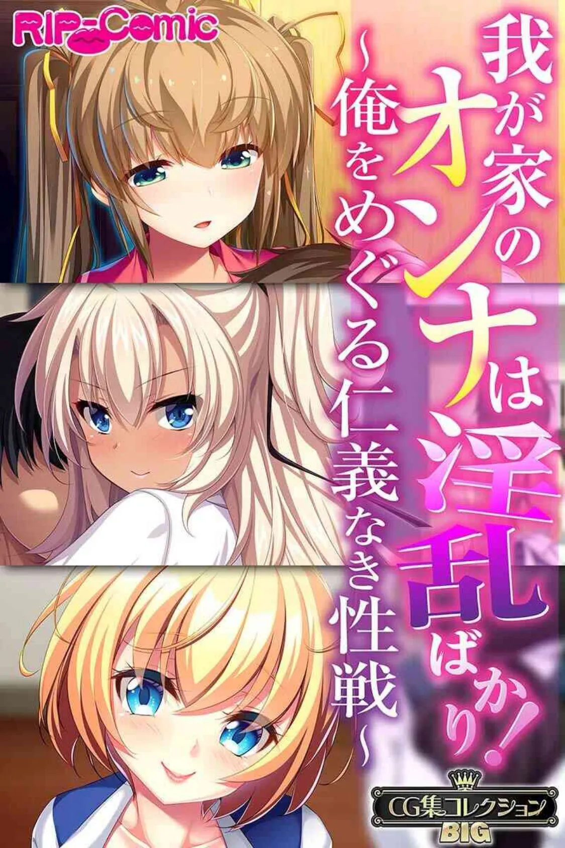 我が家のオンナは淫乱ばかり！〜俺をめぐる仁義なき性戦〜【CG集コレクションBIG】