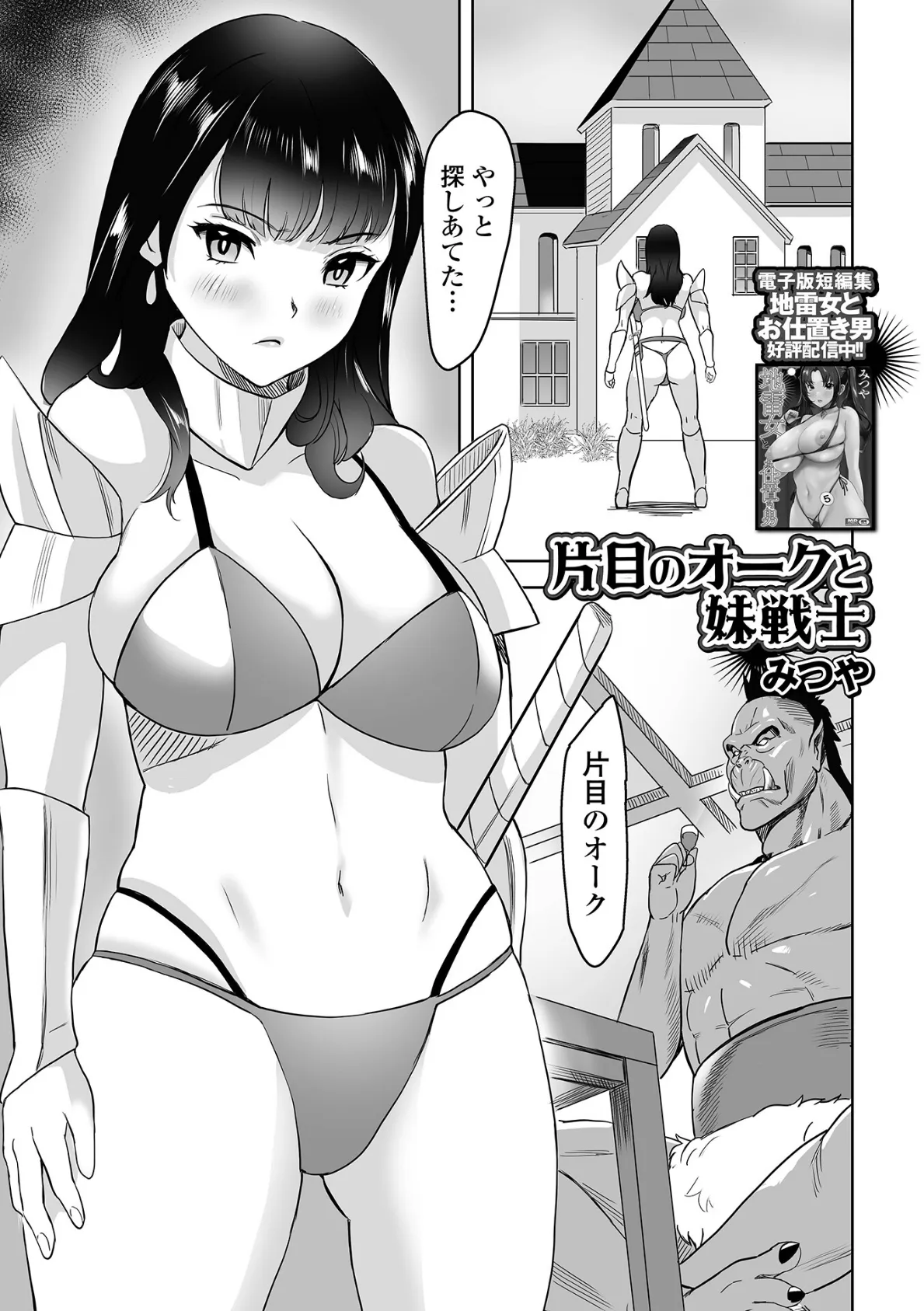 片目のオークと妹戦士