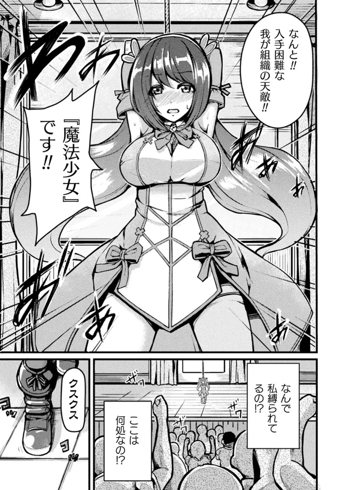 二次元コミックマガジン 魔法少女性奴●オークションへようこそ！ Vol.1 29ページ