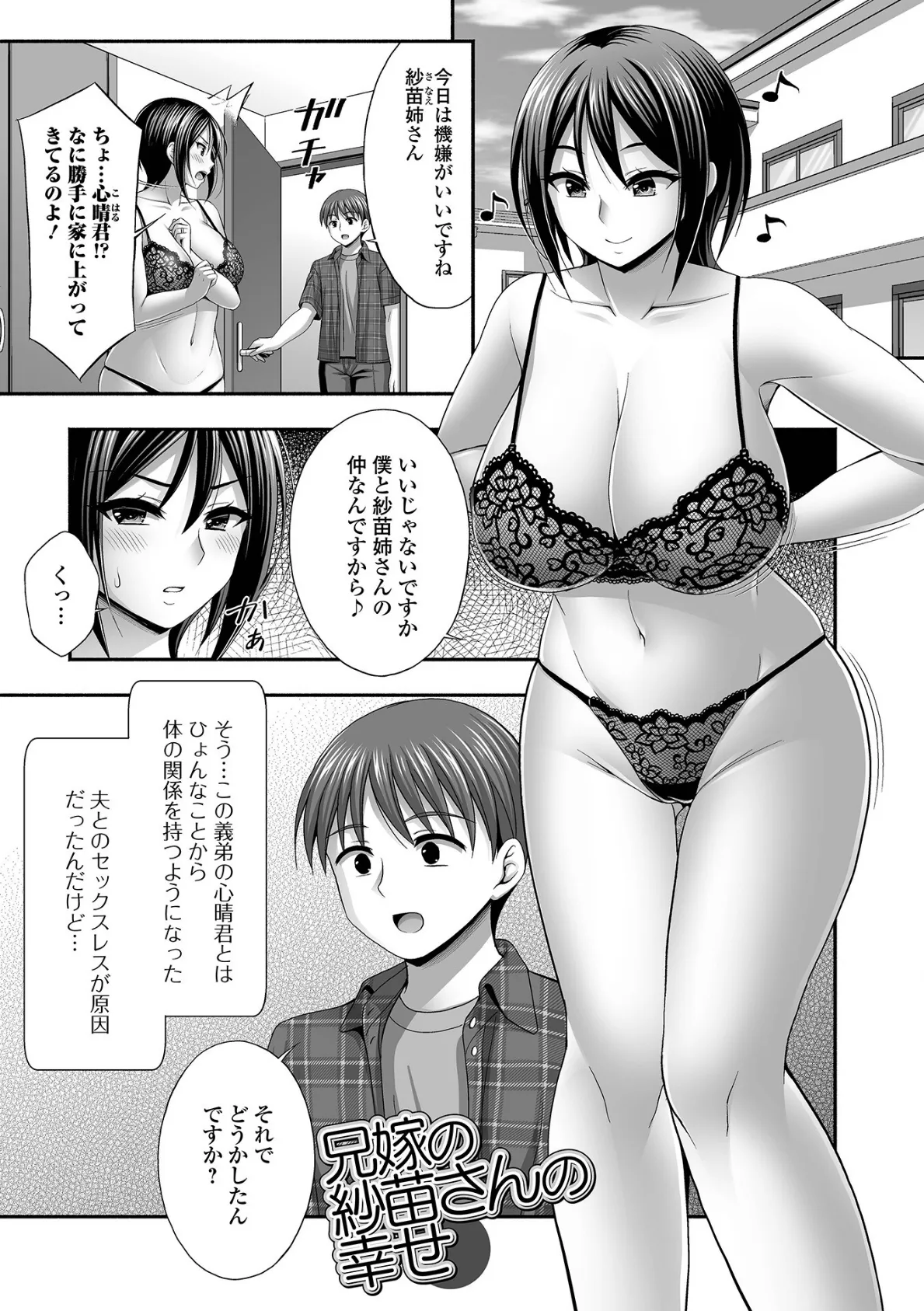 兄嫁との秘密の関係 11ページ