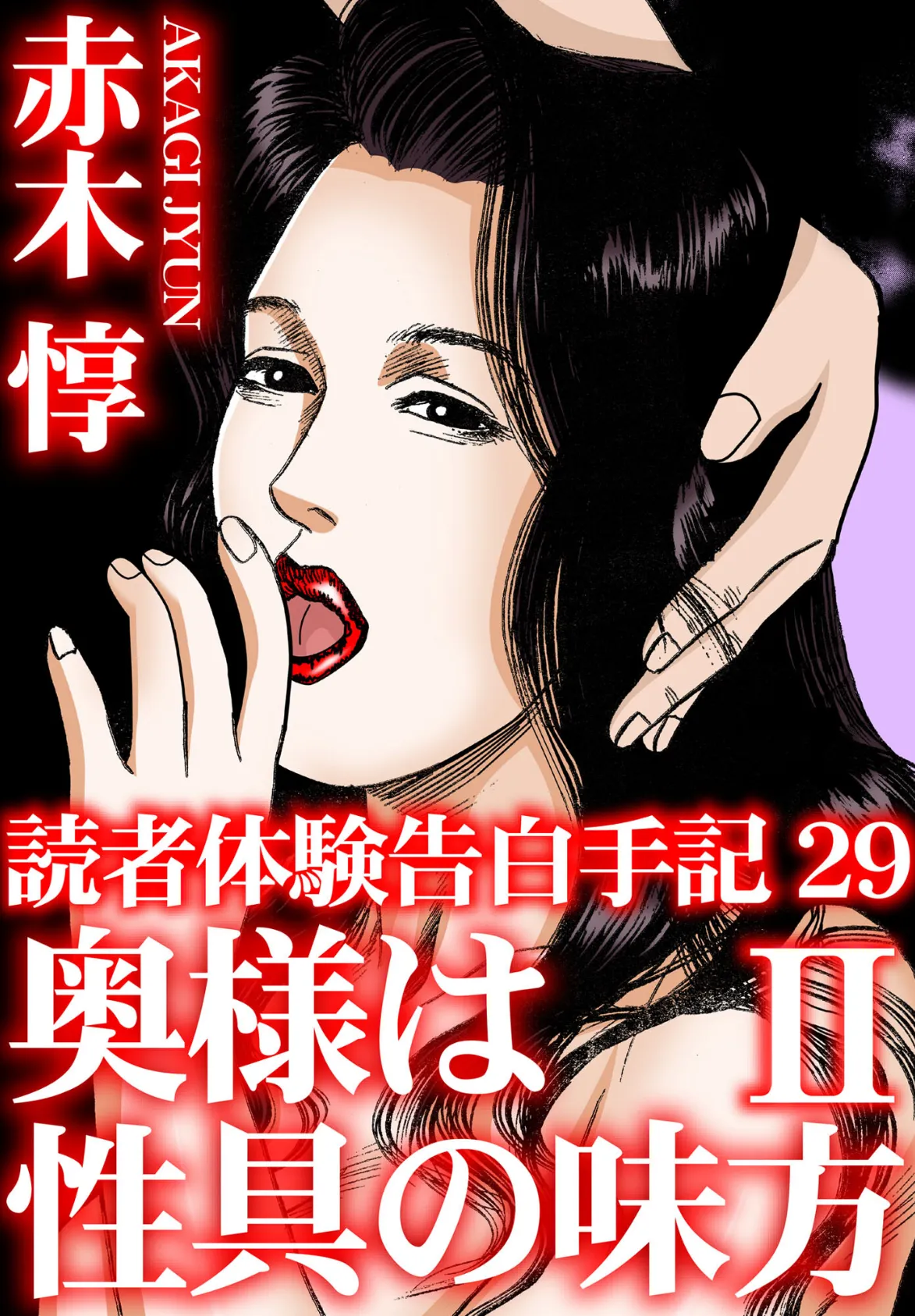 読者体験告白手記 29 奥様は性具の味方 II