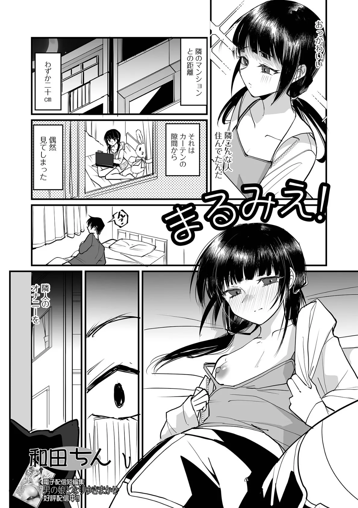まるみえ!
