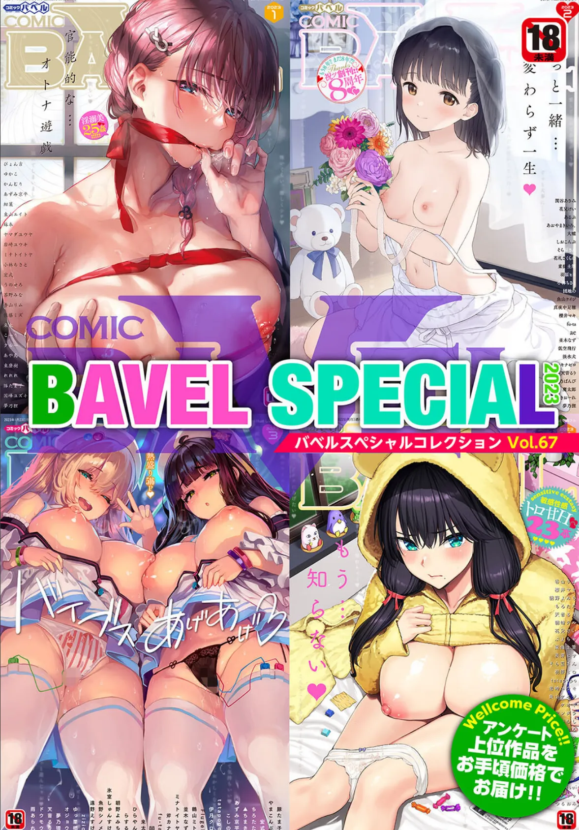 COMIC BAVEL SPECIAL COLLECTION(コミックバベル スペシャルコレクション)VOL67